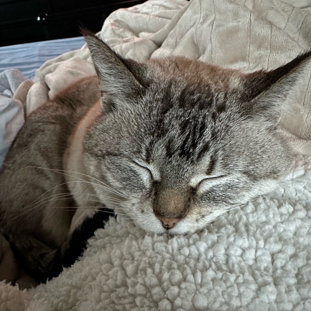 Meet your Posher, Melanie